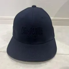 Item thumbnail for item 6bd79c25-2678-4505-bf27-a3a3d54adc44