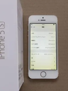 Apple iPhone 5s 64GB ドコモSIMロック品
