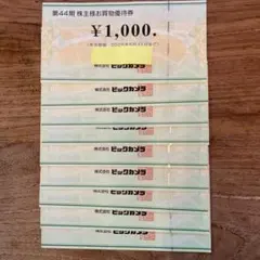 ビックカメラ株主様お買物優待券 9000円分