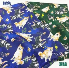 北区の刺しゅう屋 猫と毛糸 グリーン - メルカリ