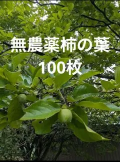 HIDEKI様 リクエスト 2点 まとめ商品