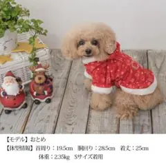 crazy Booくま耳サンタさんパーカ