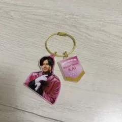 エビライ アクキー 超特急 カイ