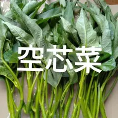 野菜セット　空芯菜 300gのサムネイル