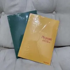 TREASURE Pleasure 2種セット 新品未開封