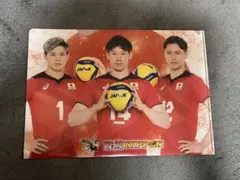 男子バレー 日本代表 クリアファイル