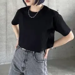 ページボーイ　ショート丈　クロップド丈　ミニ丈　tシャツ