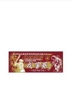 作新学院 98回全国優勝タオル 優勝 記念 非売品 タオル 甲子園 今井達也 1dd0179cf9a0f72e2f65602a7e3180