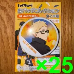 ハイキュー‼︎　横断幕　缶バッジ　月島蛍　25個セット
