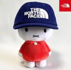 Item thumbnail for item 5e37b984-c739-4d5c-a7a6-8d20e88e3f64