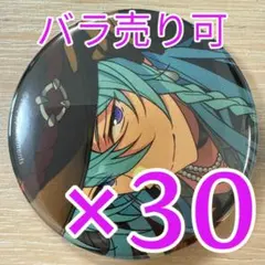 日々樹渉 あんスタ コレクション缶バッジ 2025 Jun Idol 30個