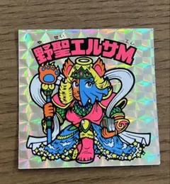 2026年最新】野聖エルサmの人気アイテム - メルカリ