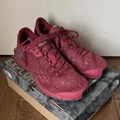 【THE NORTH FACE】ザ・ノースフェイス ピナクル レーサー (新品)のサムネイル