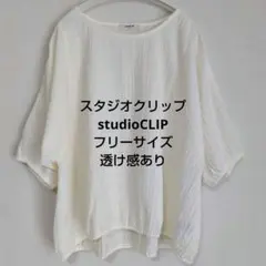 スタジオクリップstudio CLIP 半袖カットソー生成り色 透け感ありFのサムネイル