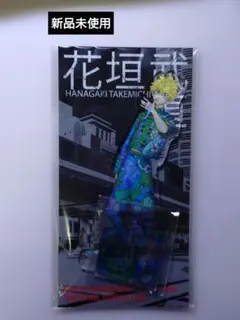 葬送のフリーレン 海外 紀伊國屋 ペインタリーシリーズ ピンバッジ