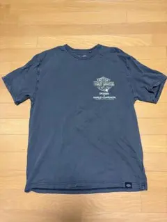 Item thumbnail for item 9e846845-868d-4812-a43a-e433ee386175