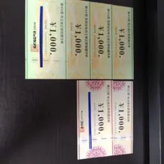 ビックカメラ&コジマ　お買い物優待券 6000円分