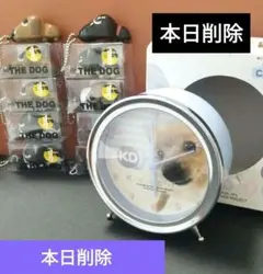 THE DOG 置時計　ポメラニアン