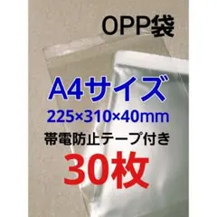 Item thumbnail for item d67591e2-7208-4544-8984-3fcc81d3be91