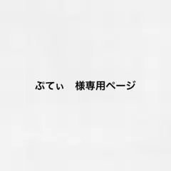 ぷてぃ　様専用ページ