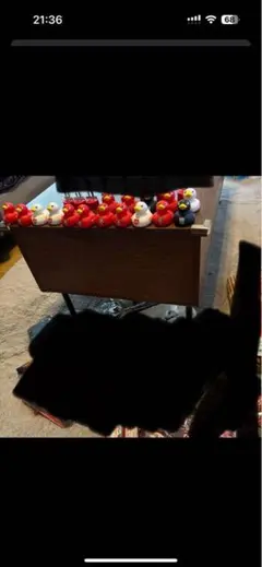 複数あひるのみ