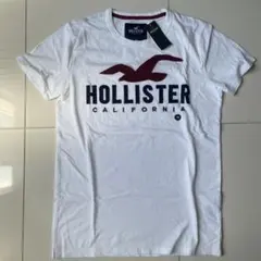 HOLLISTER ホワイト Tシャツ XS 新品タグ付きのサムネイル