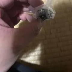 家庭教師ヒットマンREBORN! Ringcolle! DX 晴のボンゴレリング