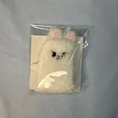 2025年最新】スンミン ドールの人気アイテム - メルカリ