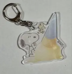 【新品】スヌーピー アクリルキーホルダー ピーナッツ