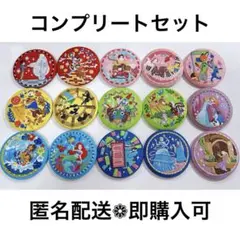 ディズニー 刺繍缶バッチ2 全15種 コンプリートセット ②