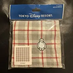 【新品未開封】ディズニーリゾート ミニタオル ベイマックス