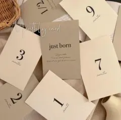 Item thumbnail for item c5d20d78-8e18-4329-810b-1d4565fad9af