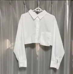 Item thumbnail for item 24442e61-b9ec-4452-b1ed-9df6893574a6