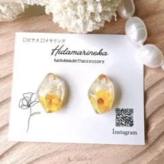 うる艶ドライフラワー押し花クリア高みえ大人シンプル高級　ピアス　イヤリング