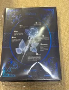 【会場限定】Ado Adotomy 会場限定チケットセットグッズ東京