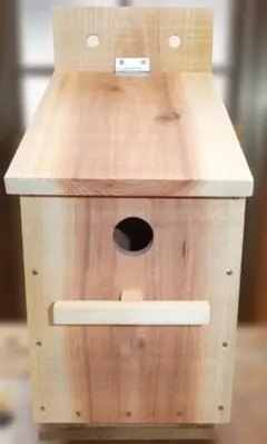 Item thumbnail for item 85dfdaaf-bcc5-4f53-b131-db8164294e6f