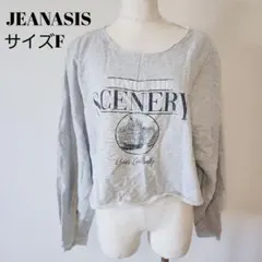 JEANASIS グレー SCENERYプリント 長袖シャツ フォト A0882のサムネイル