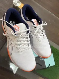 Item thumbnail for item 65fc57c6-f704-4f85-b5bf-b8078ea54a08