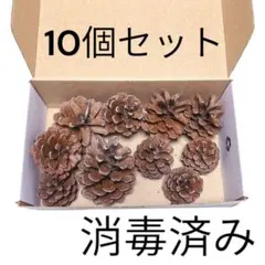 ⭐️送料無料⭐️松ぼっくり　10個　消毒済み　ハンドメイド　クリスマス　リース飾り