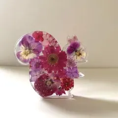 No.435 猫の箸置き♡固まるハーバリウム2個set - メルカリ