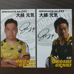 ホーク様 リクエスト 2点 まとめ商品