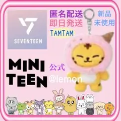 新品【SEVENTEEN】MINITEEN スングァン BBOOGYULI - メルカリ