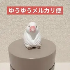 まちぼうけ8 文鳥 フィギュア 가챠