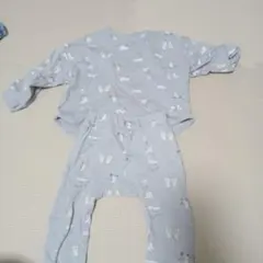 Cottoli キッズ セットアップ くま柄 ブルー