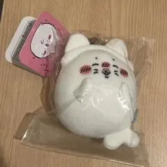 【未開封】アザラシくじ D賞 ねこのアザラシマスコット 3点セット 新品 ナガノ アザラシぬいぐるみくじ ナガノの水族館 C賞 D賞 3