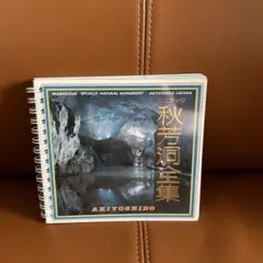 Item thumbnail for item b587061e-878e-42ab-996e-3807741751c4