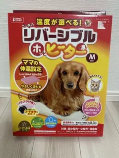 Item thumbnail for item 58e07790-0169-4e24-a04b-ad39e68e0b18