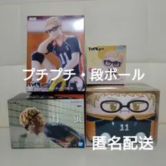 ハイキュー 月島蛍 ぬーどるストッパー たかが フィギュア きゅるみー はこぬい