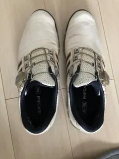 Item thumbnail for item b61ffc87-7118-4bbb-a07a-2372558f60d9