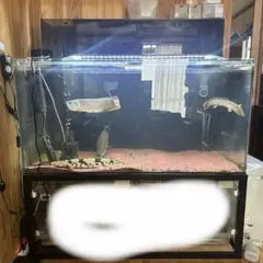 アクリル水槽フルセット 1200×600×600 台付。 レイシーポンプ！のサムネイル
